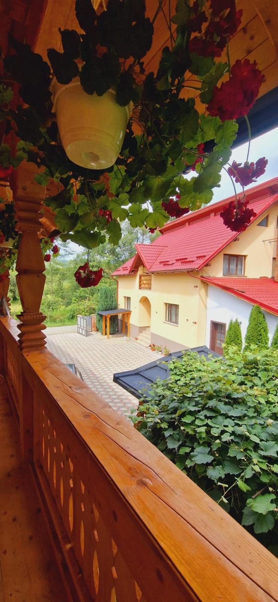 Pensiunea Malinul Bîrsana Zimmer foto